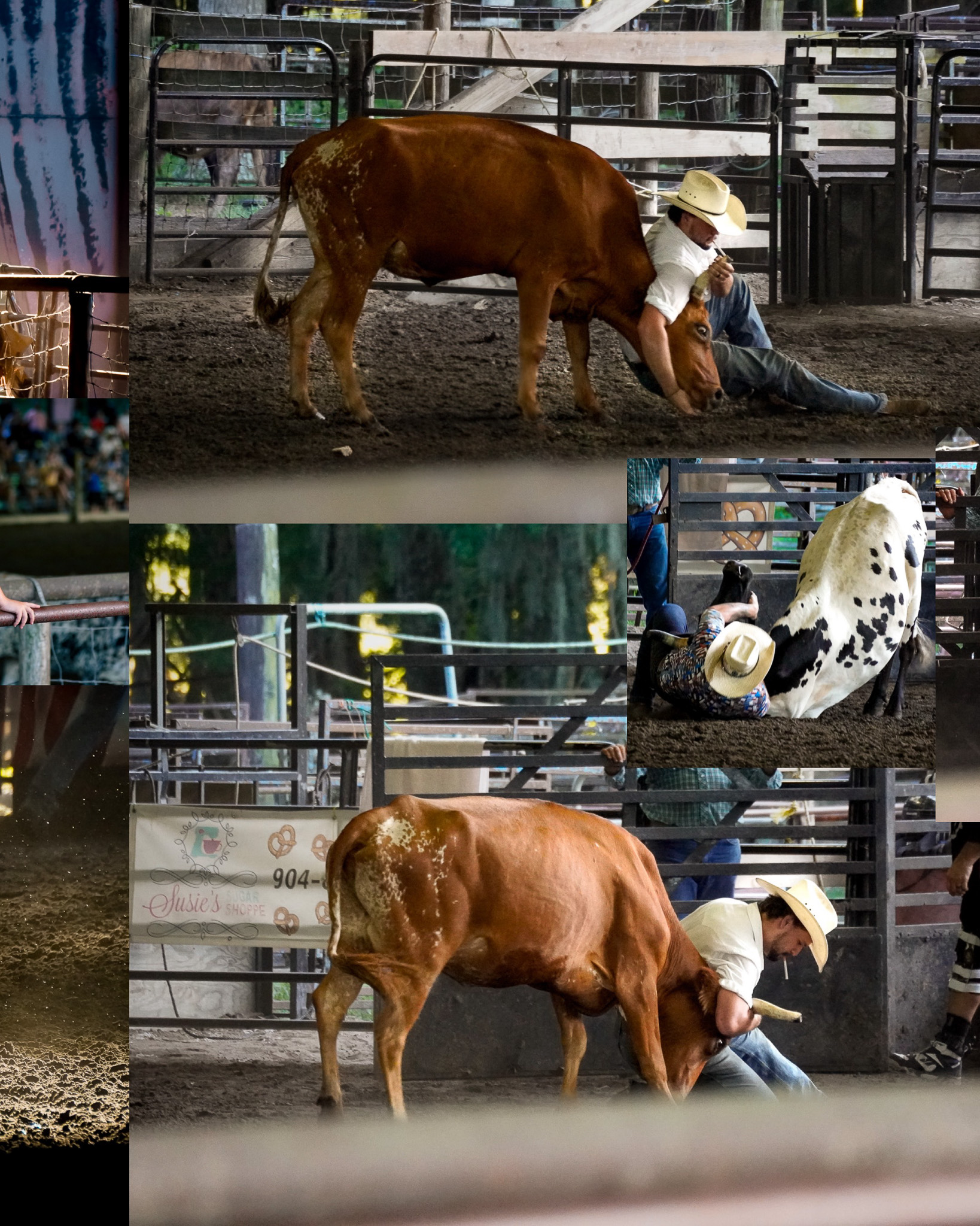Rodeo Carousel 6