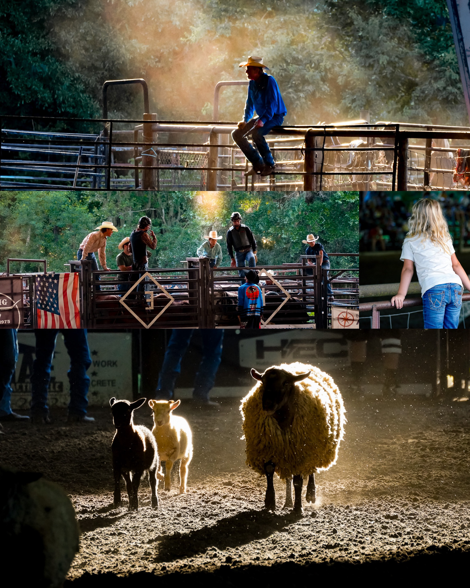 Rodeo Carousel 5