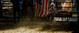 Rodeo Asset 2
