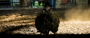 Rodeo Asset 5