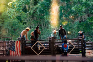 Rodeo Asset 7