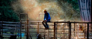 Rodeo Asset 8