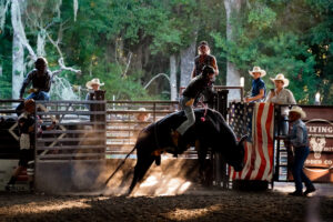 Rodeo Asset 9