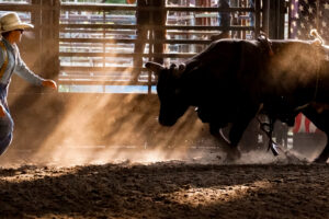 Rodeo Asset 11
