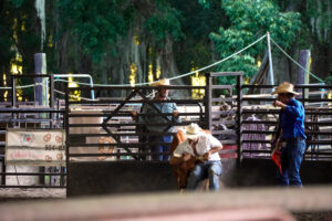 Rodeo Asset 13