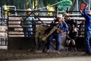 Rodeo Asset 16