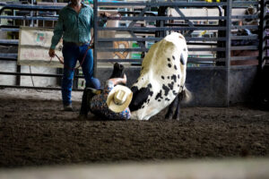 Rodeo Asset 17