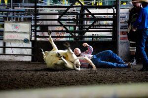 Rodeo Asset 19