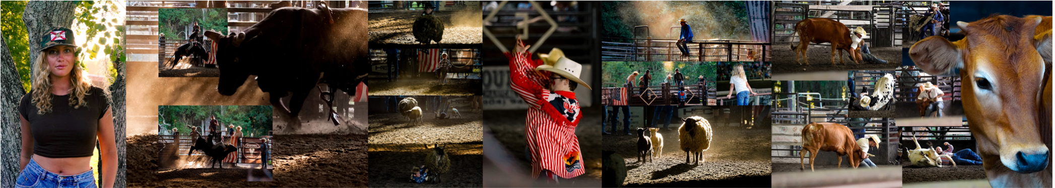 Rodeo Panorama